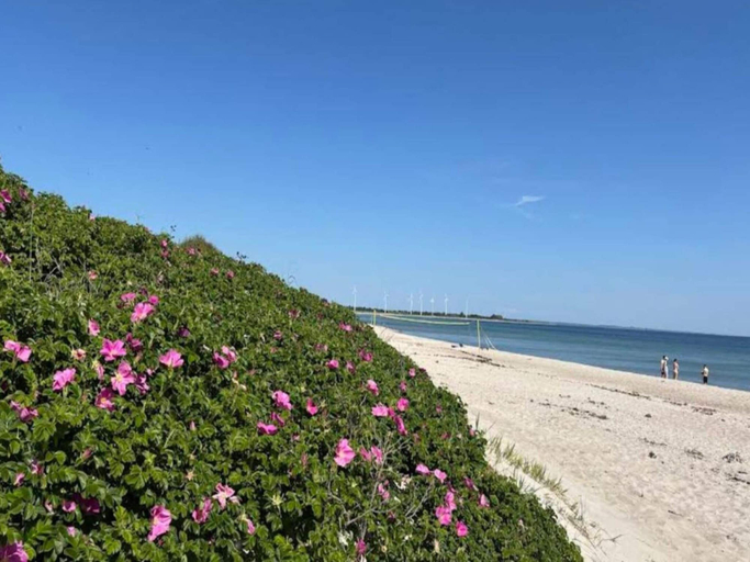Others 3, 4 Star Holiday Home in Sydals, Sønderborg