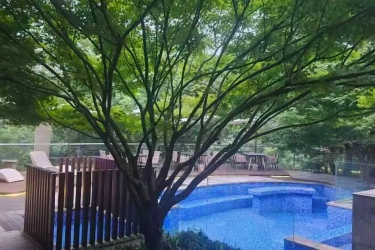 Outdoor pool 3, Mount Emei Baiyuting Yunjian Tangquan B&B, Leshan