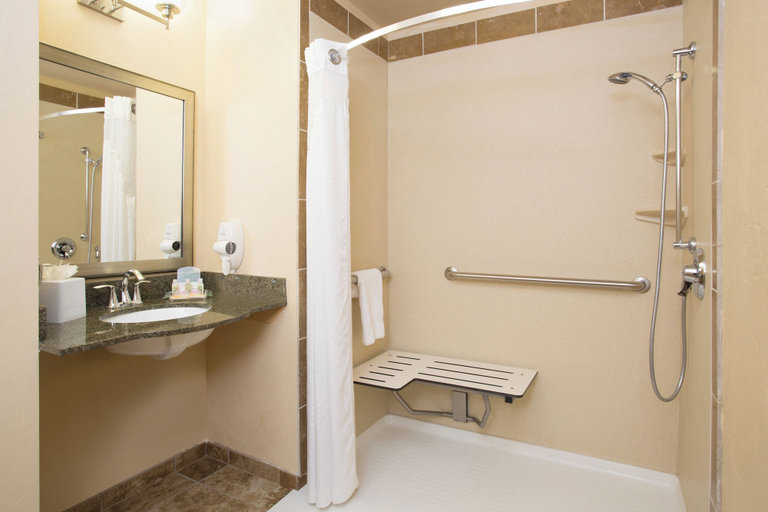 Bathroom 4, Holiday Inn Hotel & Suites Durango Downtown by IHG, La Plata