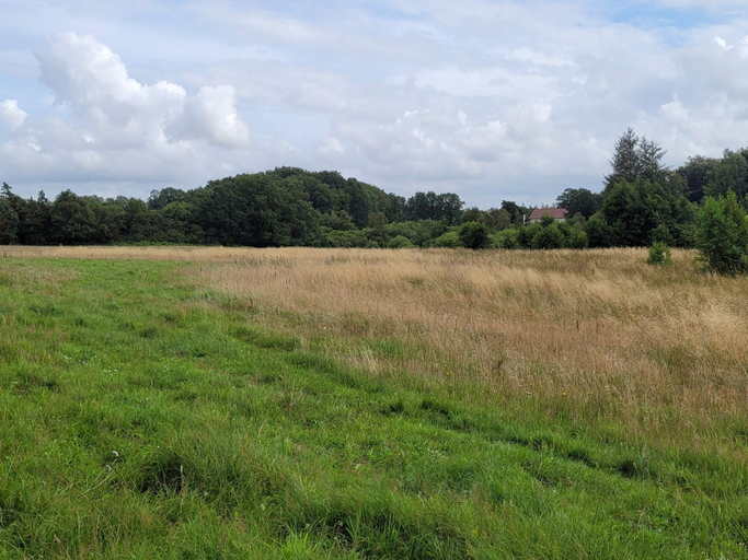 Others 4, 4 Person Holiday Home in Hovborg, Vejen