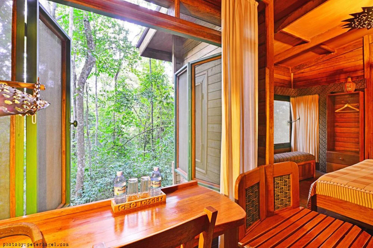 Bedroom 2, The Rainforest Geo Lodge, Buikwe