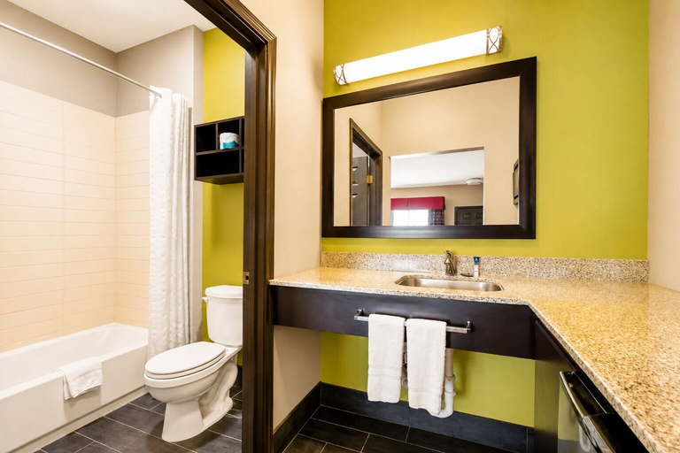 Bathroom 3, Rodeway Inn, Frio