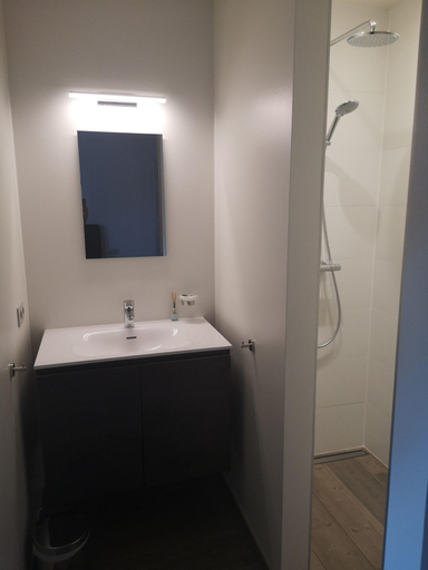 Bathroom 4, B&B Meulecauter, Oost-Vlaanderen