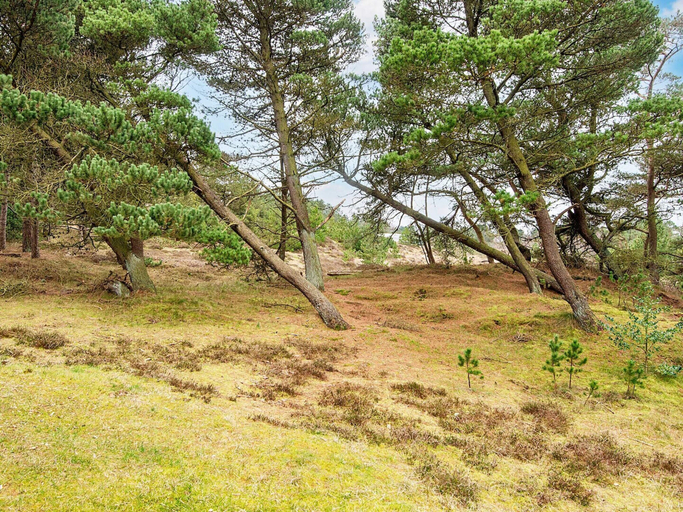 Others 5, 6 Person Holiday Home in Romo, Tønder