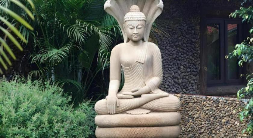 Others 5, Shangri-La Jungle Village Resort, Uttara Kannada