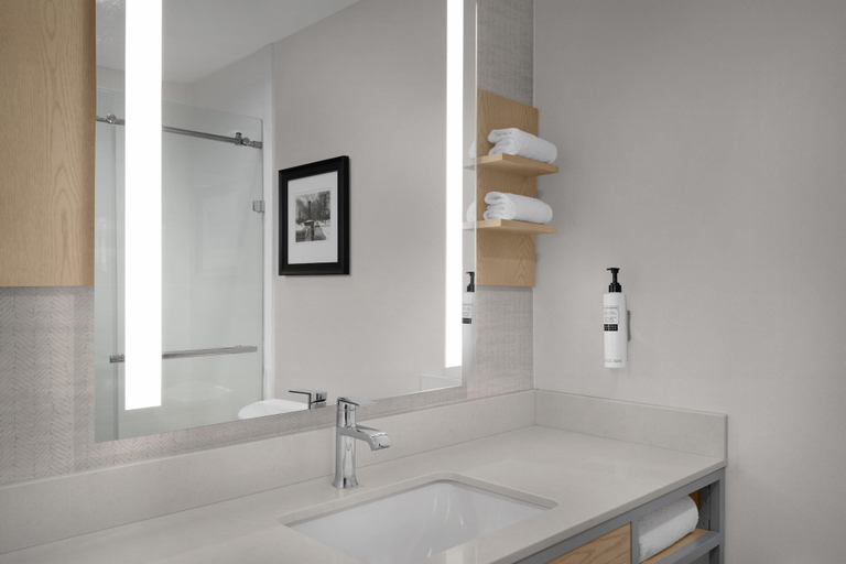 Bathroom 4, Hilton Garden Inn South Bend, Saint Joseph