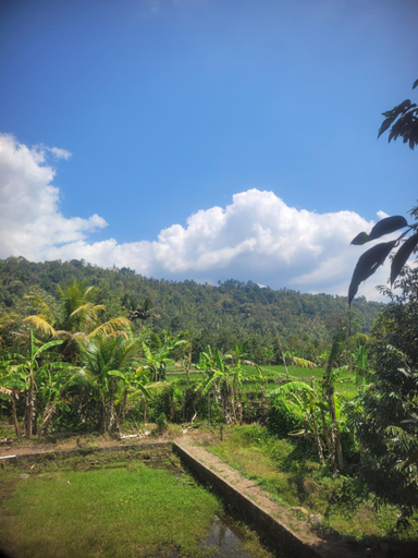 Others 3, Sriwedari Lodge, Buleleng