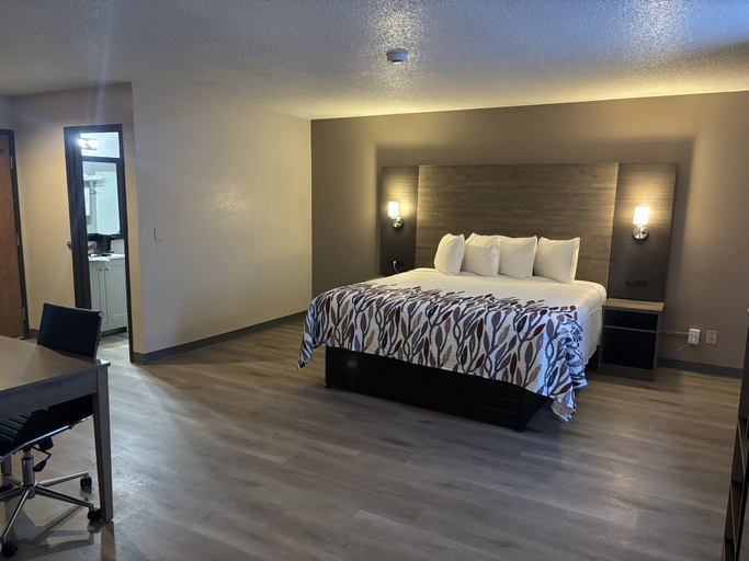 Bedroom 4, Red Roof Inn & Suites Hammond, IN, Lake