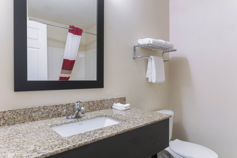 Bathroom 4, Red Roof Inn Carrollton, Carroll