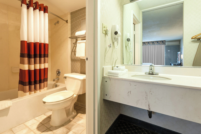 Bathroom 4, Red Roof Inn & Suites DeKalb, De Kalb
