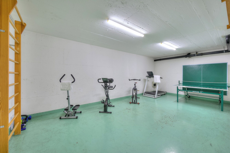 Fitness facility, Emotion Lake Lugano With Direct Lake Access and Shared Pool, Mendrisio