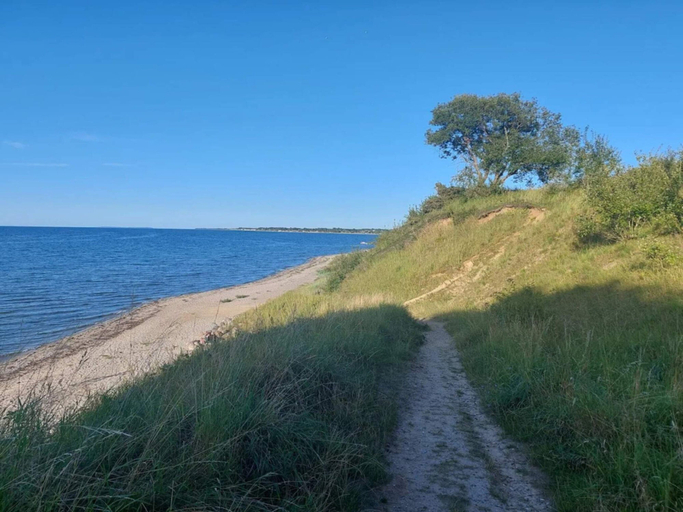 Others 4, 6 Person Holiday Home in Brenderup Fyn, Middelfart