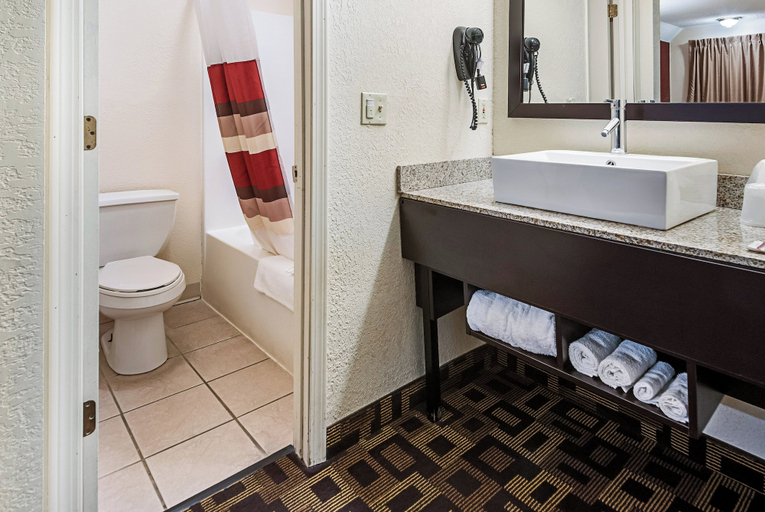 Bathroom 4, Red Roof Inn Anderson, IN, Madison
