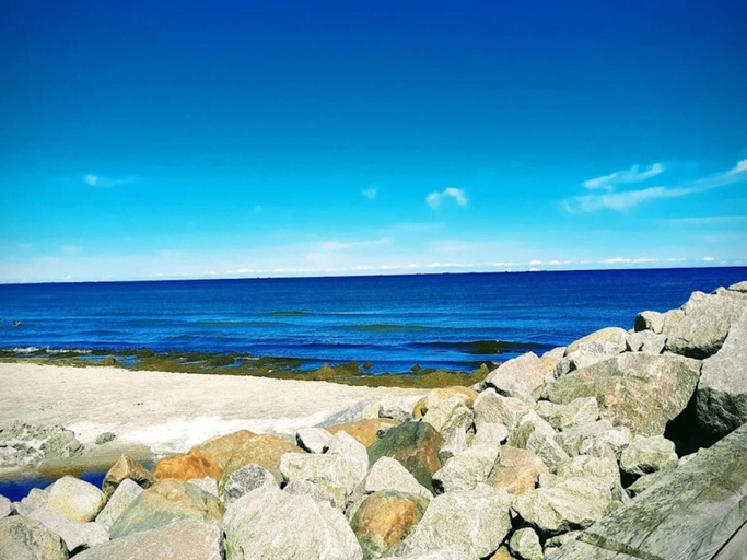 Others 4, 6 Person Holiday Home in Albaek, Frederikshavn