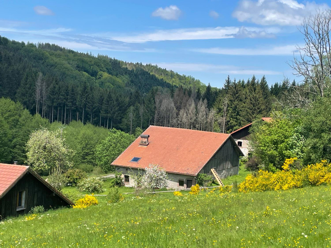 Others 4, La Hutte, Vosges