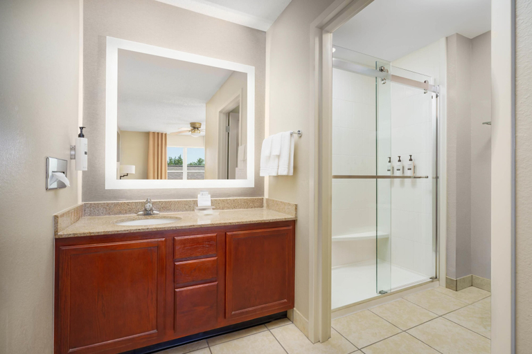 Bathroom 4, Homewood Suites by Hilton Dallas-Arlington, Arlington