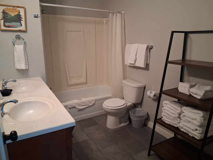 Bathroom 3, Kimberling Cove Resort, Stone