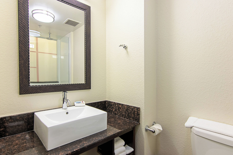 Bathroom 5, Red Roof Inn Locust Grove, Henry