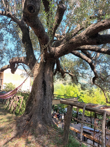 Others 4, Bed and Breakfast Sant'Agata, Salerno