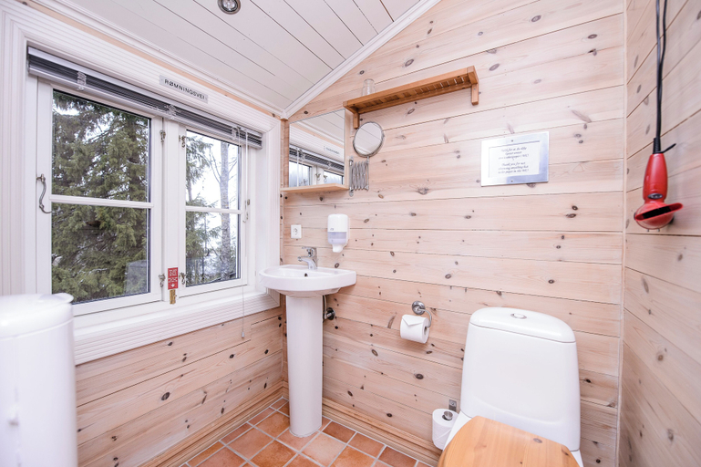 Bathroom 4, Kleivstua, Hole