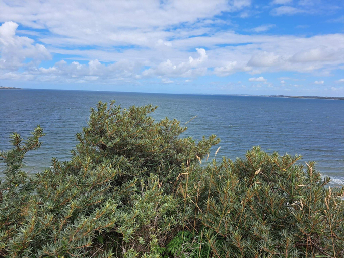 Others 5, 6 Person Holiday Home in Struer, Struer