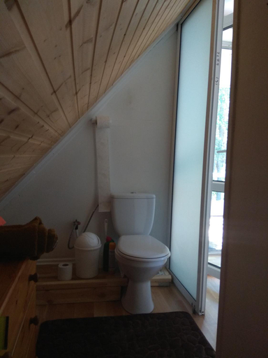 Bathroom 5, Genio lizdas, Varėnos