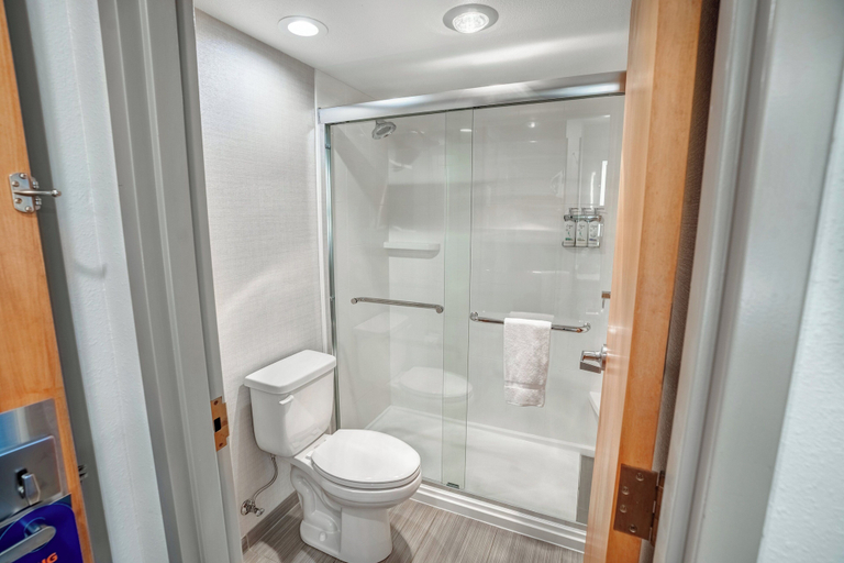 Bathroom 3, Holiday Inn Express & Suites HAYWARD by IHG, Sawyer