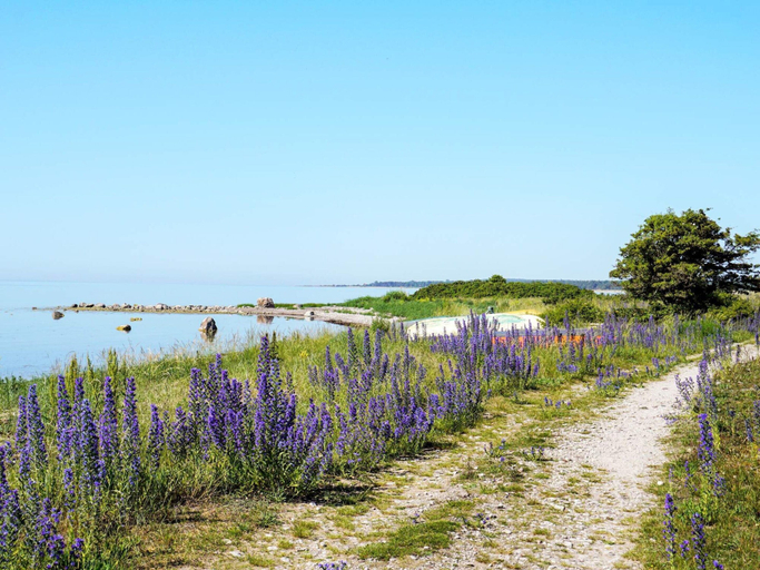Others 5, 5 Star Holiday Home in Gotlands Tofta, Gotland