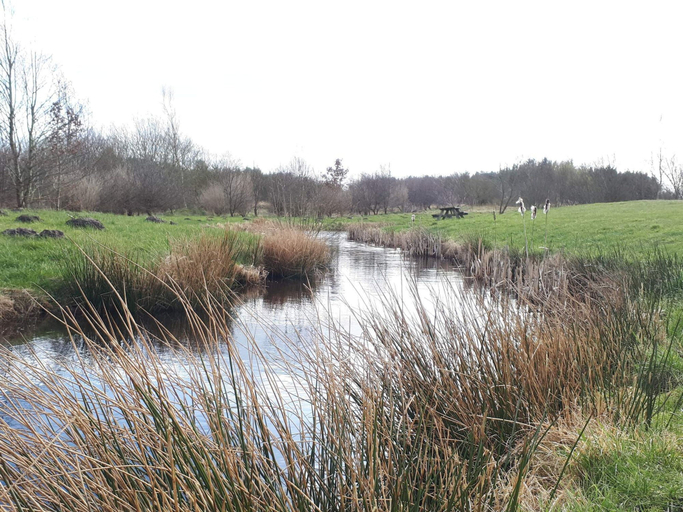 Water view 4, 4 Star Holiday Home in Karup J, Viborg