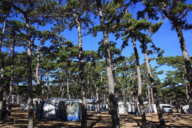 Others 5, Camping Planik, Ražanac