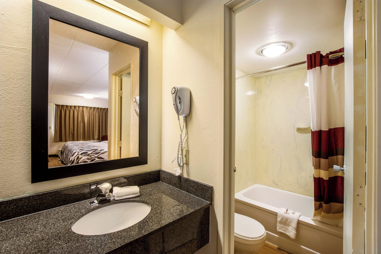 Bathroom 4, Red Roof Inn Saginaw - Frankenmuth, Saginaw