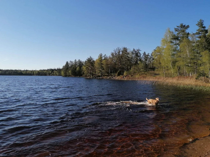 Water view 5, 4 Star Holiday Home in Bruzaholm, Eksjö