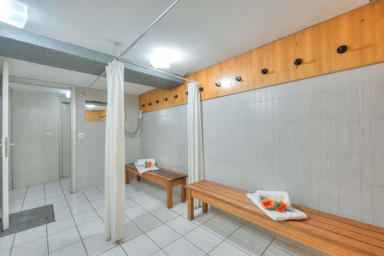 Spa, Emotion Lake Lugano With Direct Lake Access and Shared Pool, Mendrisio