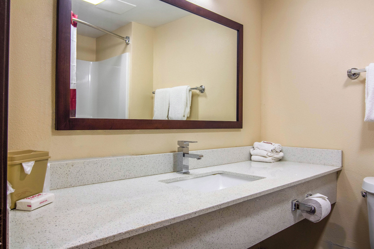 Bathroom 4, Red Roof Inn Perrysburg, Wood