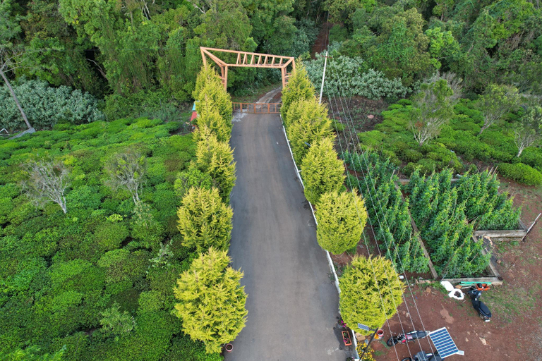 Others 4, Royal Crown Resorts, The Nilgiris