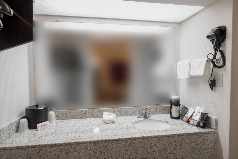 Bathroom 4, Red Roof Inn Walterboro, Colleton