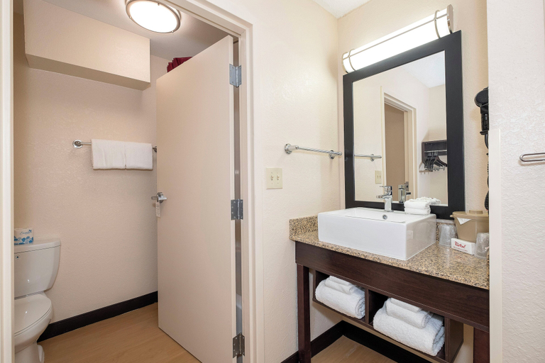 Bathroom 4, Red Roof Inn PLUS+ Jacksonville - Southpoint, Duval