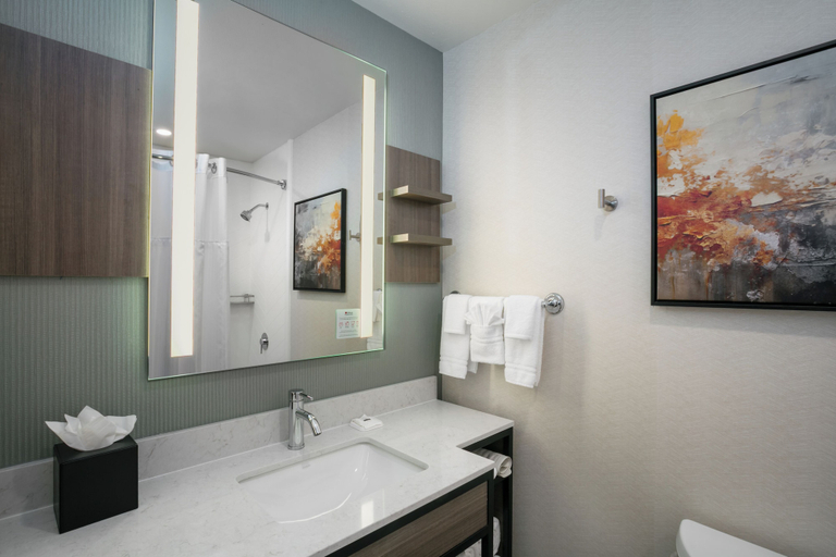 Bathroom 4, Hilton Garden Inn Tri-Cities/Kennewick, Benton