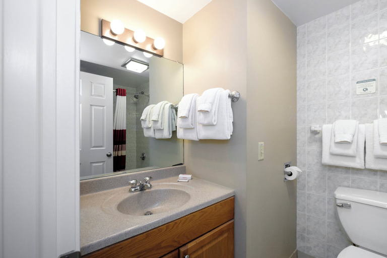 Bathroom 4, Red Roof Inn & Suites Herkimer, Herkimer