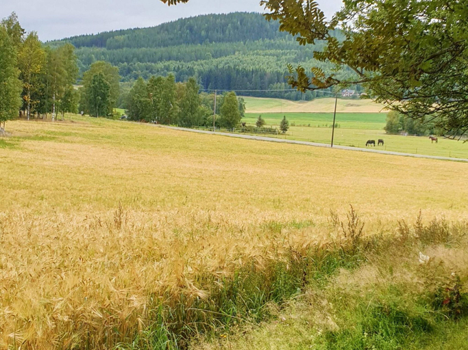 Interior 2, 4 Person Holiday Home in Jarvso, Ljusdal