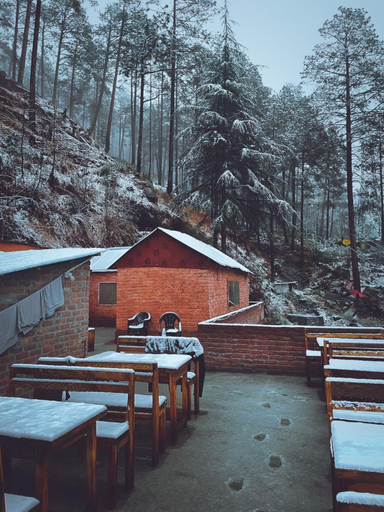 Food & Drinks 3, Highland, Kullu
