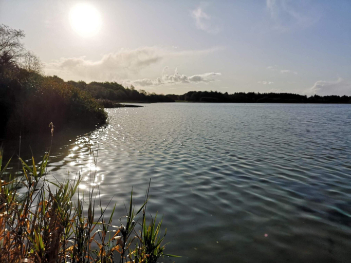 Water view 4, 7 Person Holiday Home in Ansager, Varde