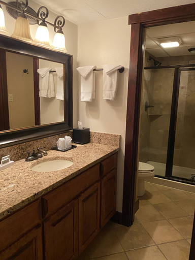 Bathroom 3, The Lodge at Wisp Resort, Garrett