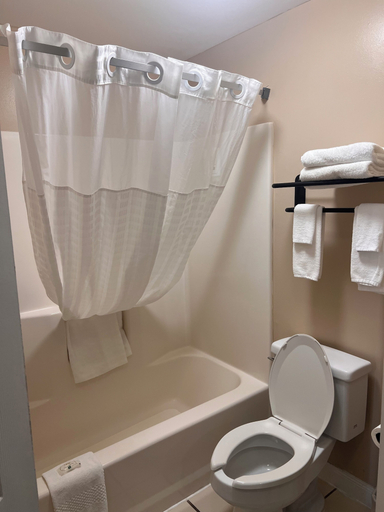 Bathroom 4, Quality Inn Palm Bay - Melbourne I-95, Brevard