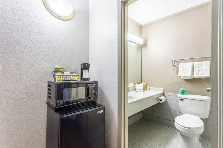 Bathroom 4, Red Roof Inn Meridian, Lauderdale