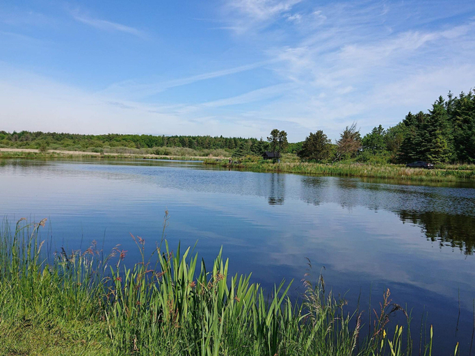Others 5, 8 Person Holiday Home in Vinderup-by Traum, Holstebro