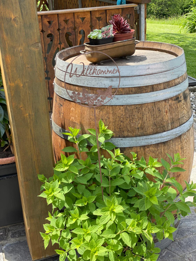 Food & Drinks 4, Haus Schonegger, Leibnitz