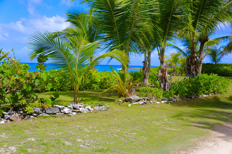 Property grounds 5, Alfred - Private - 2br Beachfront Home With Pool Solar Banks Rd 5 Bedroom Home