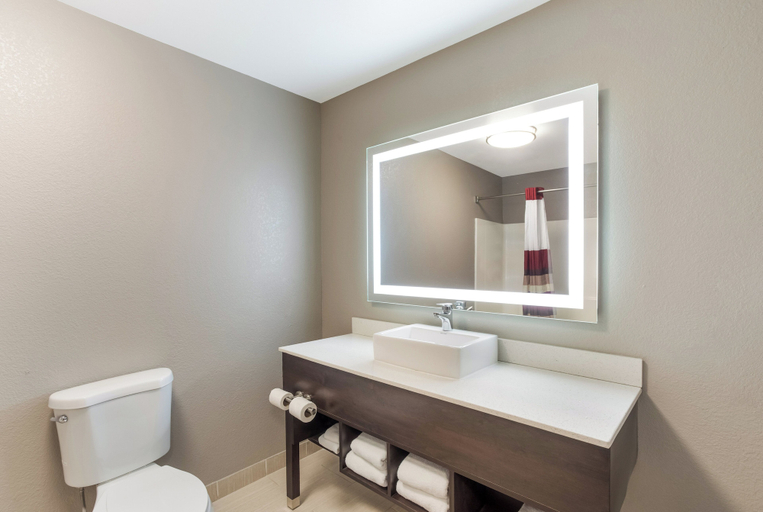 Bathroom 4, Red Roof Inn & Suites Corbin, Whitley