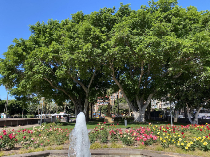 Others 4, Apartment in Las Palmas near Playa de Las Canteras, Las Palmas